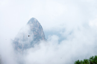 雾中隐现的山峰