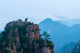 黄山猴子观海奇景