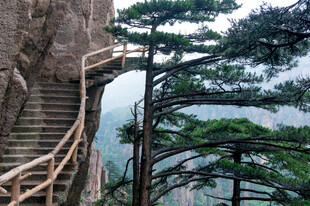山间崖壁栈道风光
