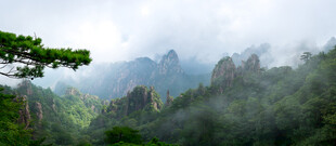 云雾仙山迎客松