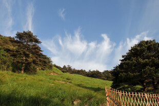 郊野晴日山野风光
