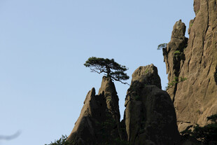 黄山奇松怪石景观