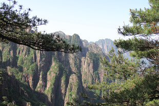 松间远眺奇峰山景