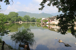 宏村南湖湖光山色