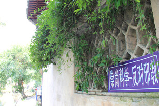 绿植围墙反邪教宣传标语