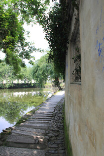 河畔林荫步道