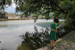湖边树下的绿衣女子