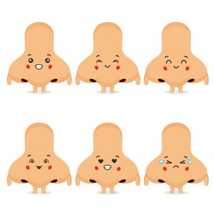 鼻子卡通表情