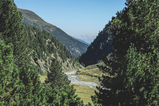 山林河谷自然风光