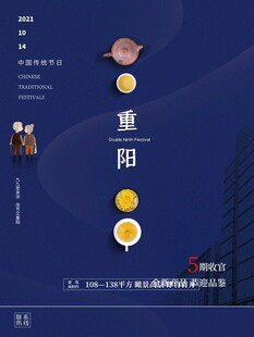 重阳节主题宣传海报
