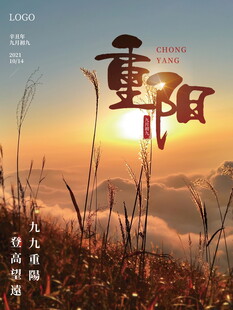 九九重阳节日出主题海报