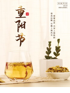 重阳节国风养生海报