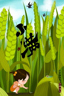 小满节气手绘插画