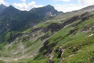 高山草甸山野风光