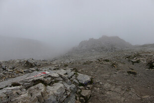 雾中荒野山地景观