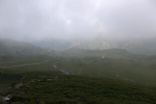 雾中郊野自然风景