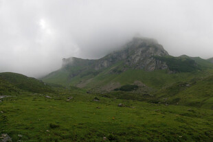雾中山地草甸风光