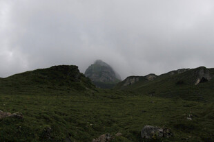 阴天山野草甸风光