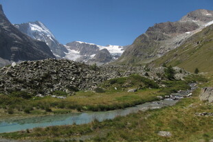 高山草甸河谷风光