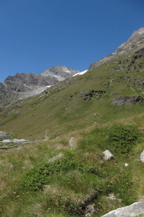高山草甸晴日风光
