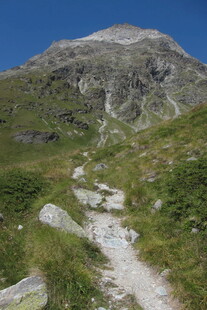 高原山间溪流自然风光