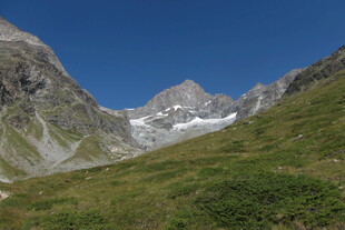 高山草甸雪山风光