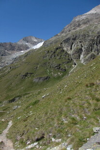 高原山地草甸风光
