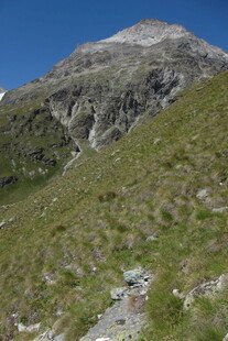 高山草甸山野风光
