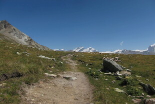 高原草甸山间小径风光