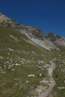 高山草甸山间步道风景