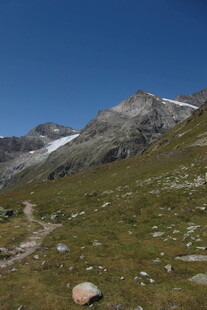 高山草甸雪山晴日风光