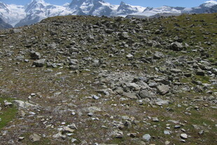 高原碎石草甸雪山风光