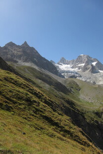 高山草甸雪山自然风光