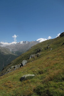 高山草甸晴日风光