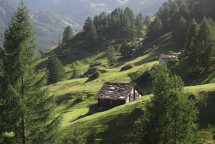 山间草坡小屋风光