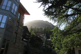 阳光下的建筑与绿树