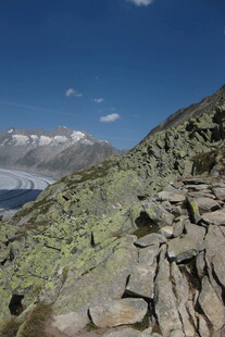 高原山地自然风光