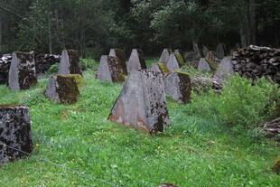 郊野古老墓园石碑