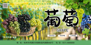葡萄促销海报