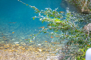 雁荡山灵峰景区 凝碧潭