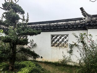 中式园林白墙小景