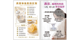燕窝鱼胶