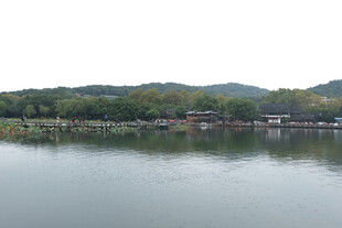 湖畔乡村风光