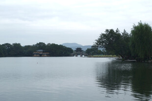 朦胧湖岸静谧风光