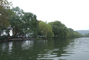 湖边绿树湖景风光