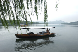垂柳下的湖面游船