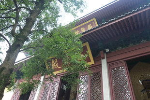 中式古建仰拍景观