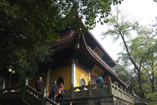 林间古寺景观