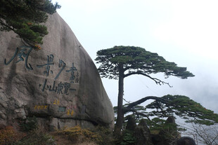 黄山迎客松风光