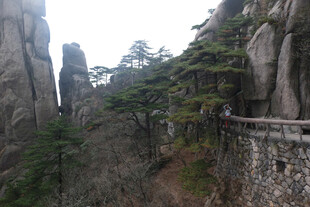 黄山山间步道风光